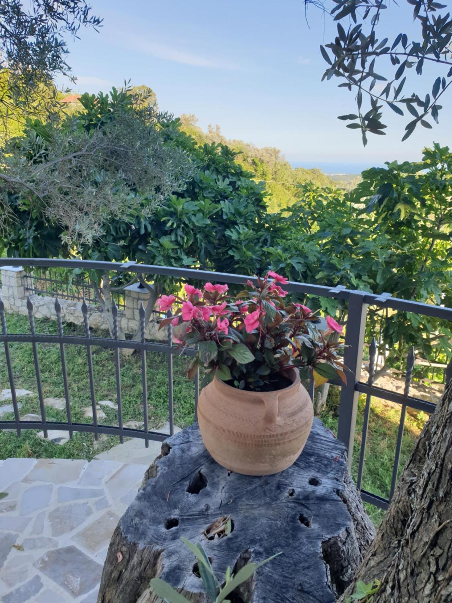 Rustic Villas Barlovic Ούλτσιν Εξωτερικό φωτογραφία